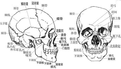 游戏学院